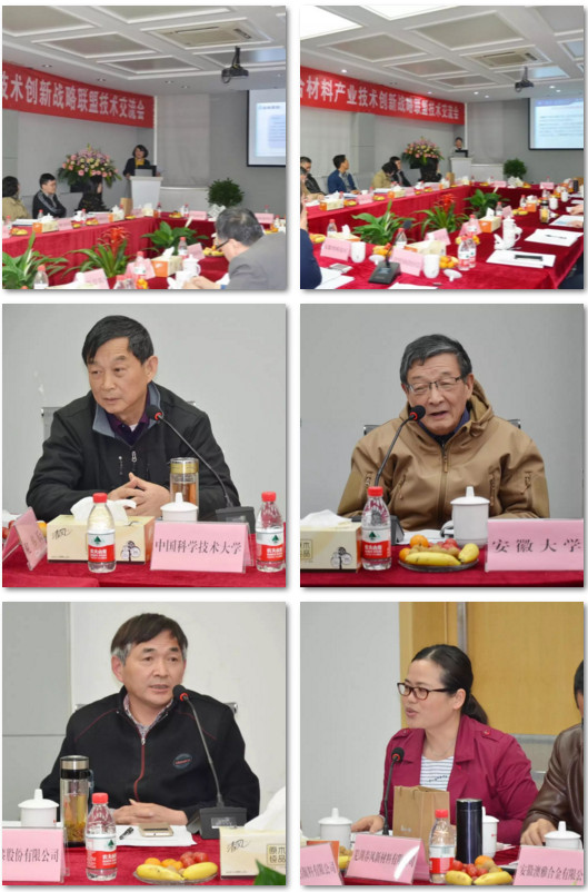 安徽省金屬漿料(粉體)高分子復合材料產(chǎn)業(yè)聯(lián)盟技術(shù)交流會